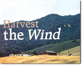 Choosing Wind as a Source of Renewable Energy Image